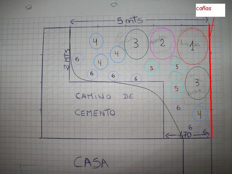 plcaas.jpg