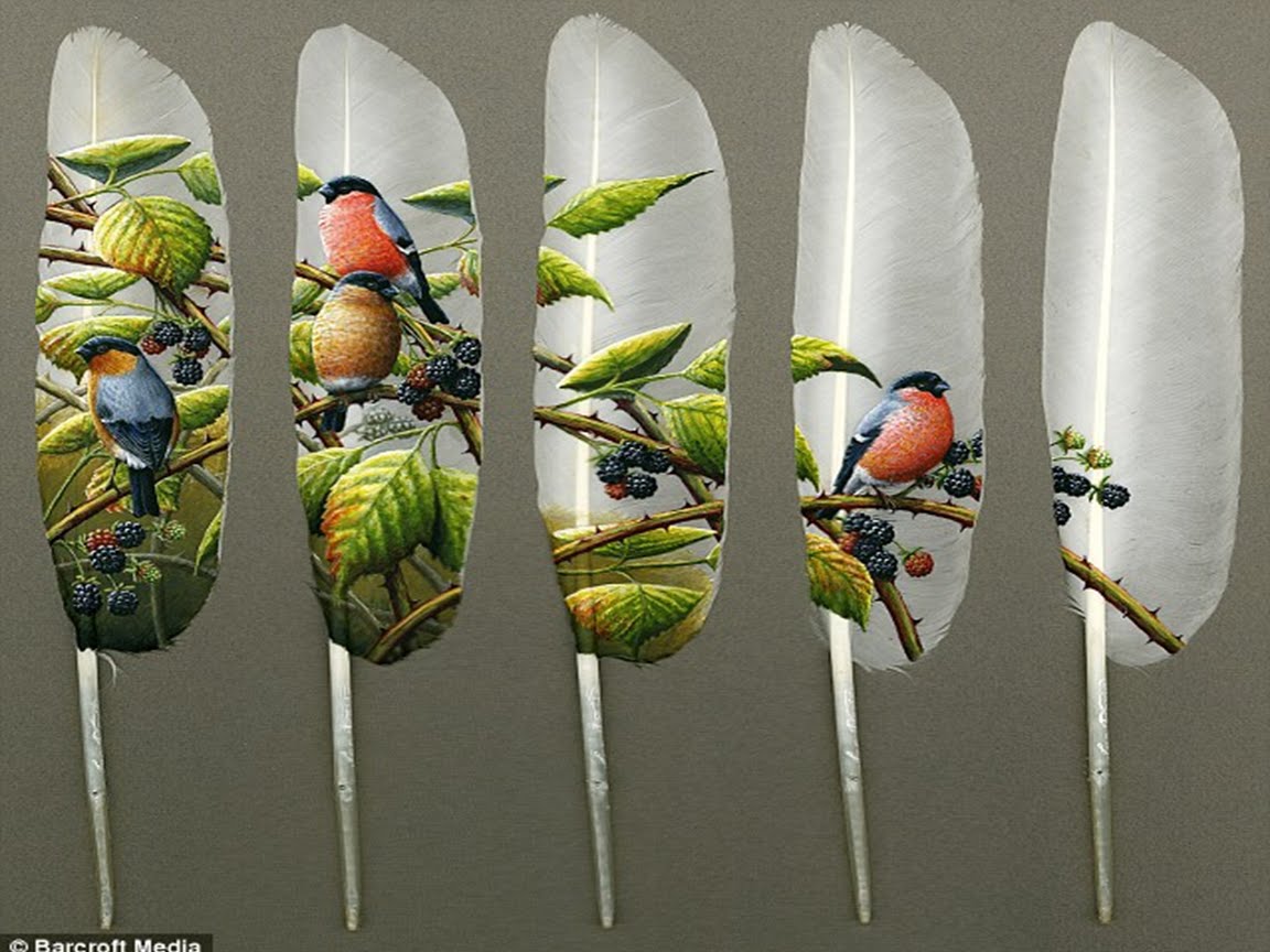 plumas+4.bmp.jpg