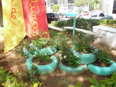 pneus%2Bcom%2Bflores.JPG