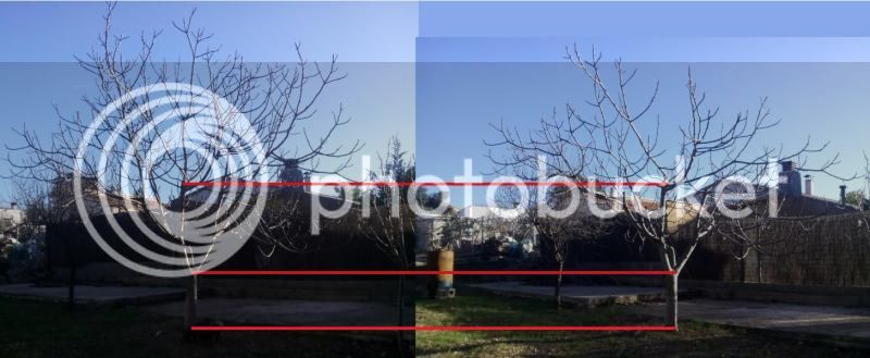 PODAHIGUERA_zps30eb0ff2.jpg