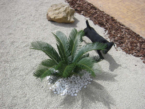 poe jardin zen.jpg