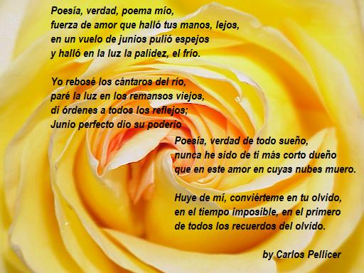 poesia.jpg