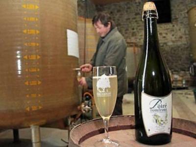 poire-domfront-32989_w400.jpg