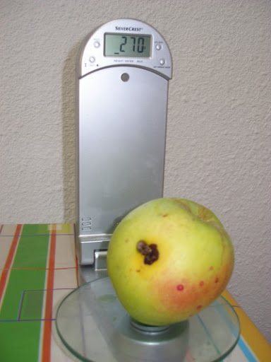 pomabalan%2525C3%2525A1.JPG