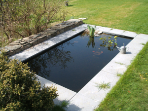 pond.jpg