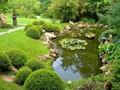 poner-estanque-jardin.jpg