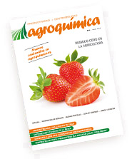 portada14.jpg