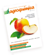 portada15.jpg