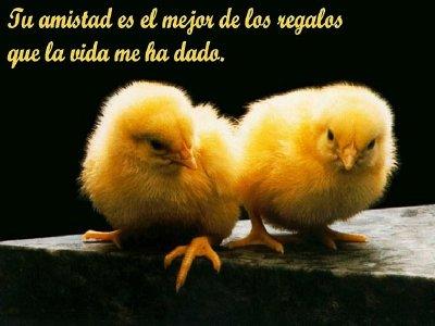 postales-de-amistad-5-peq.jpg