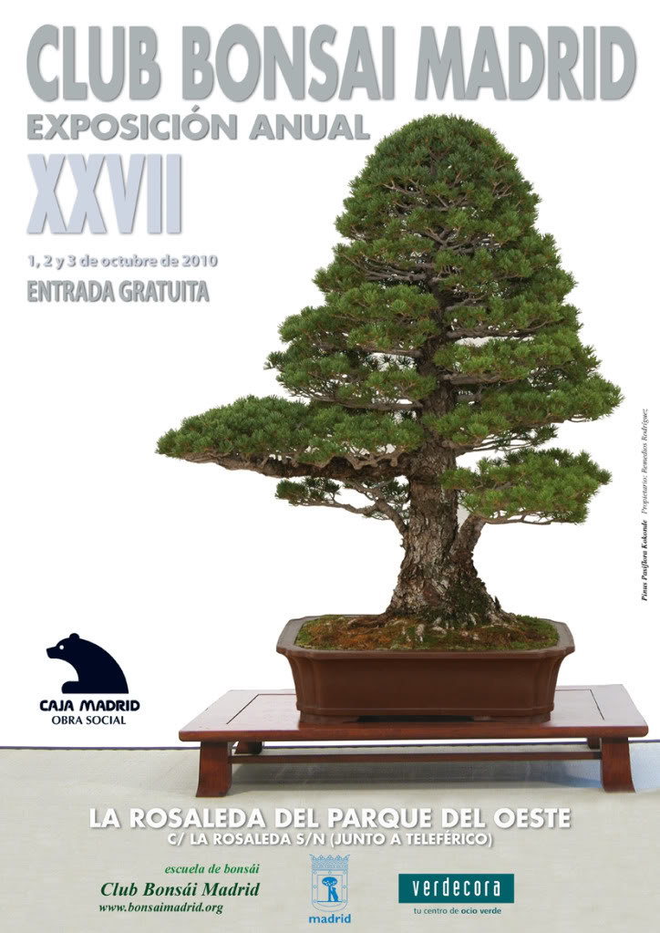 POSTER_BONSAI_XXVII.jpg