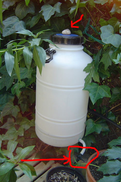 pot%20medici%F3%20pH%20ja%20penjat%20Feb%2004.jpg