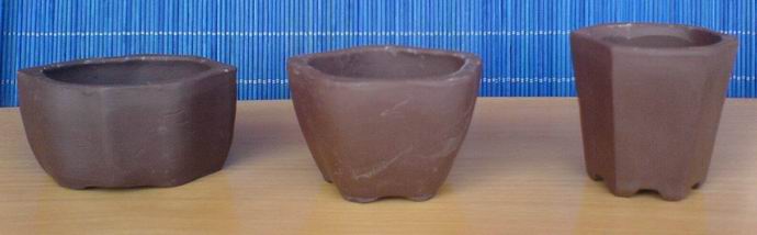 Pot05.jpg