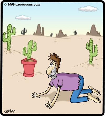 potted_cactus_510565.jpg