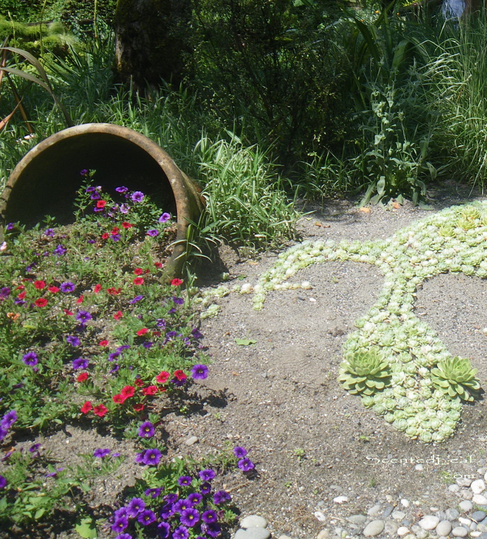 pottery_planter_at_minter_garden.jpg