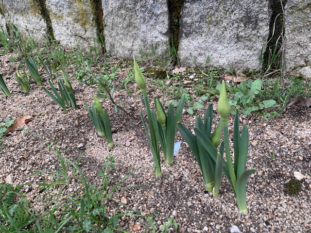 primavera-marz22-03.jpg