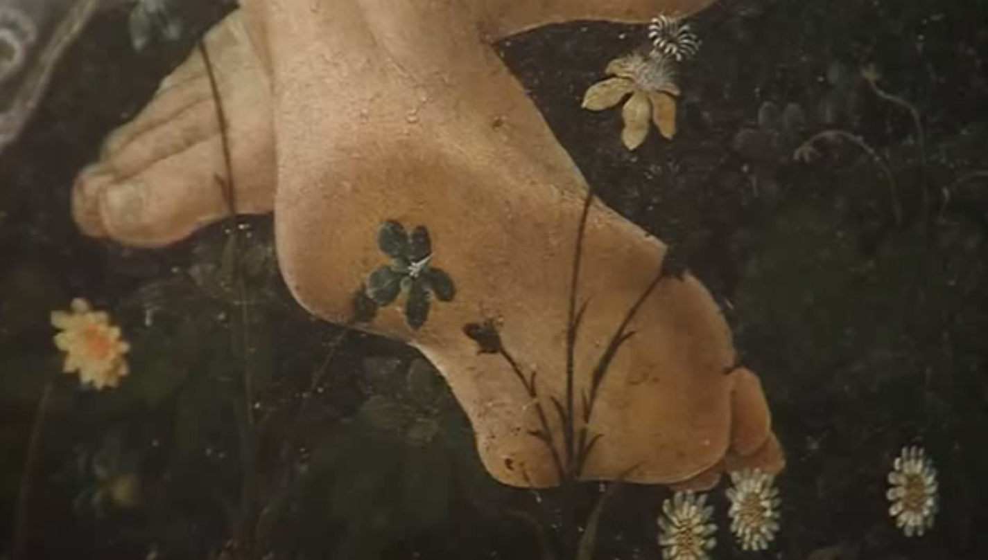 primavera2.png