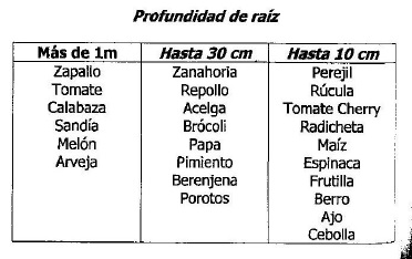 profundidad-raiz.jpg