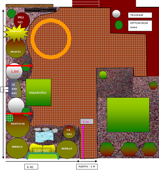 proyecto-con-plantas.jpg