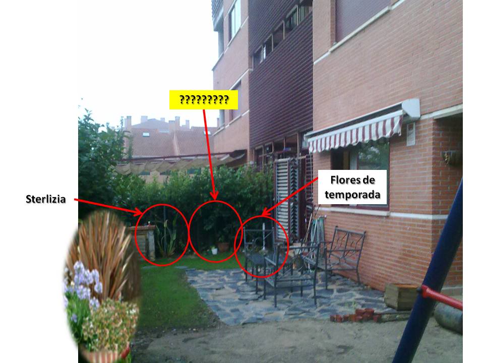 proyectosur.jpg
