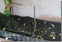 PTDC0571%20copia_thumb.jpg
