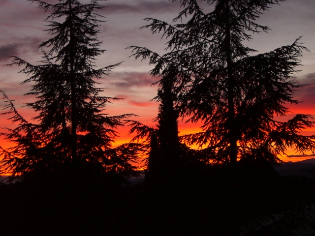 puesta de sol2.jpg