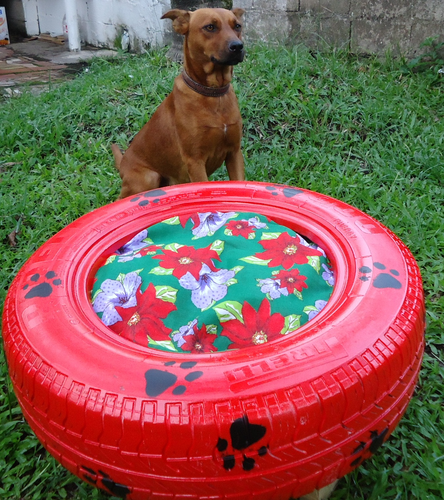 puf%20dog.png