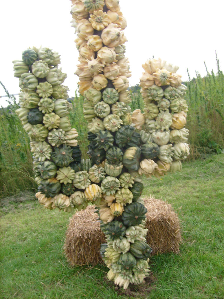pumpkin_cactus_2_by_ingeline_art-d2z1t1l.jpg