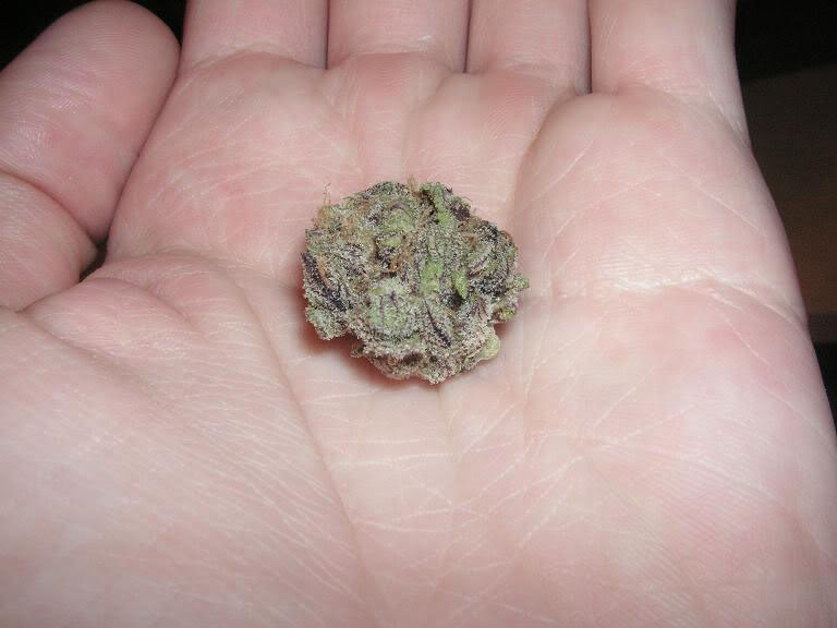 Purple_nuglet.jpg