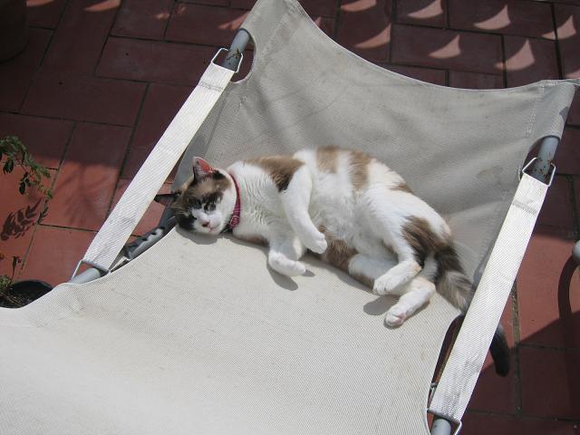 Puti%20al%20sol%202.JPG