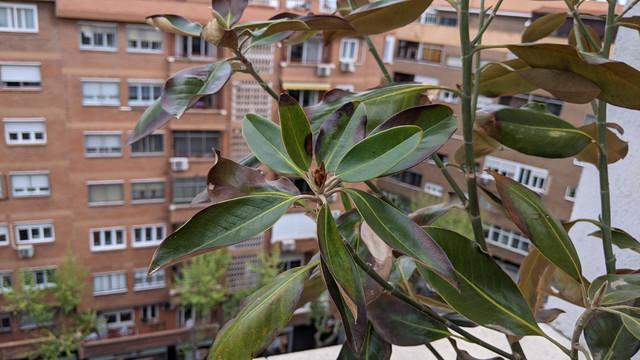PXL-20210408-091532508.jpg