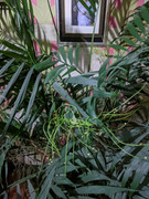 PXL-20220318-224750914.jpg