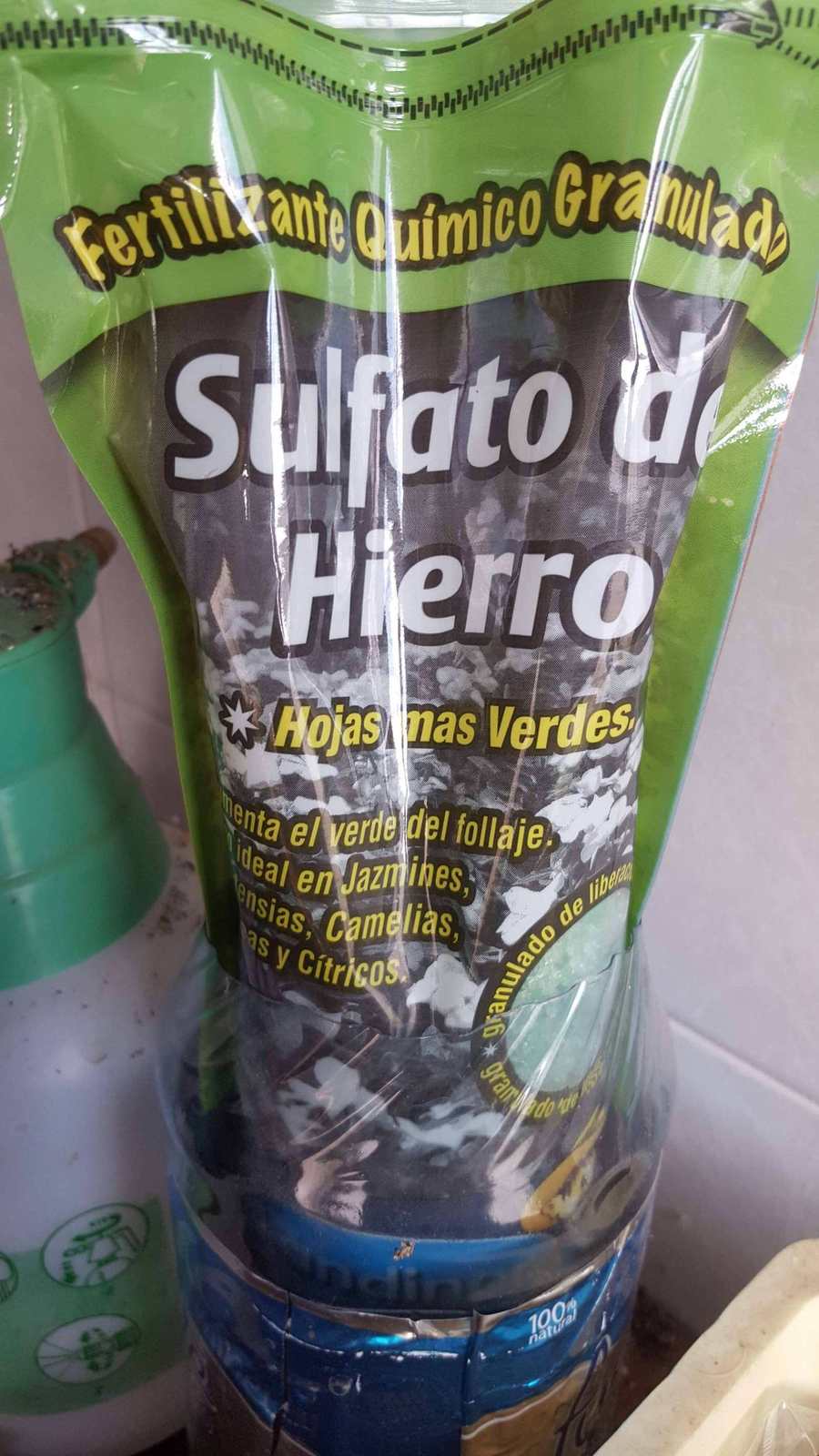 qhGGFih.jpg