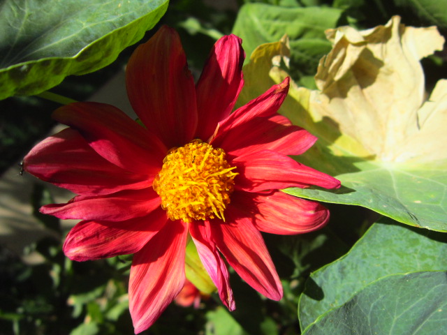Qq7IMG3472NcM.jpg