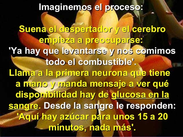 que-pasa-cuando-no-desayunamos-1-5-638.jpg