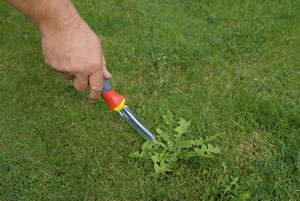 quitar-malas-hierbas-1-outils-wolf.jpg