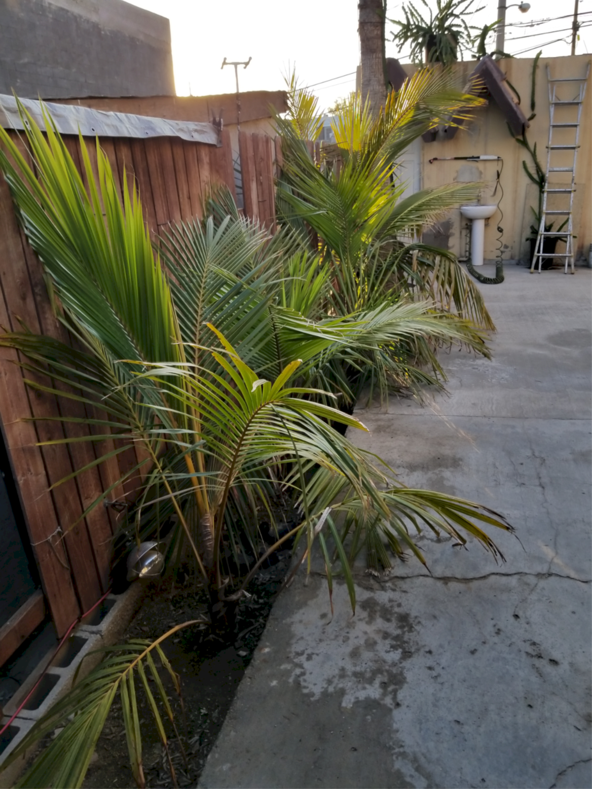 r-20200501-185519.png