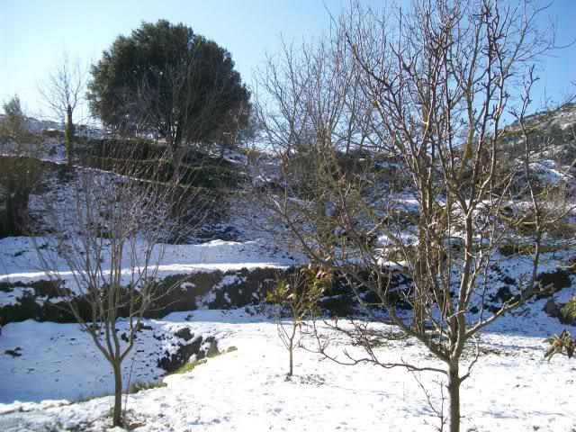 r048s8.jpg