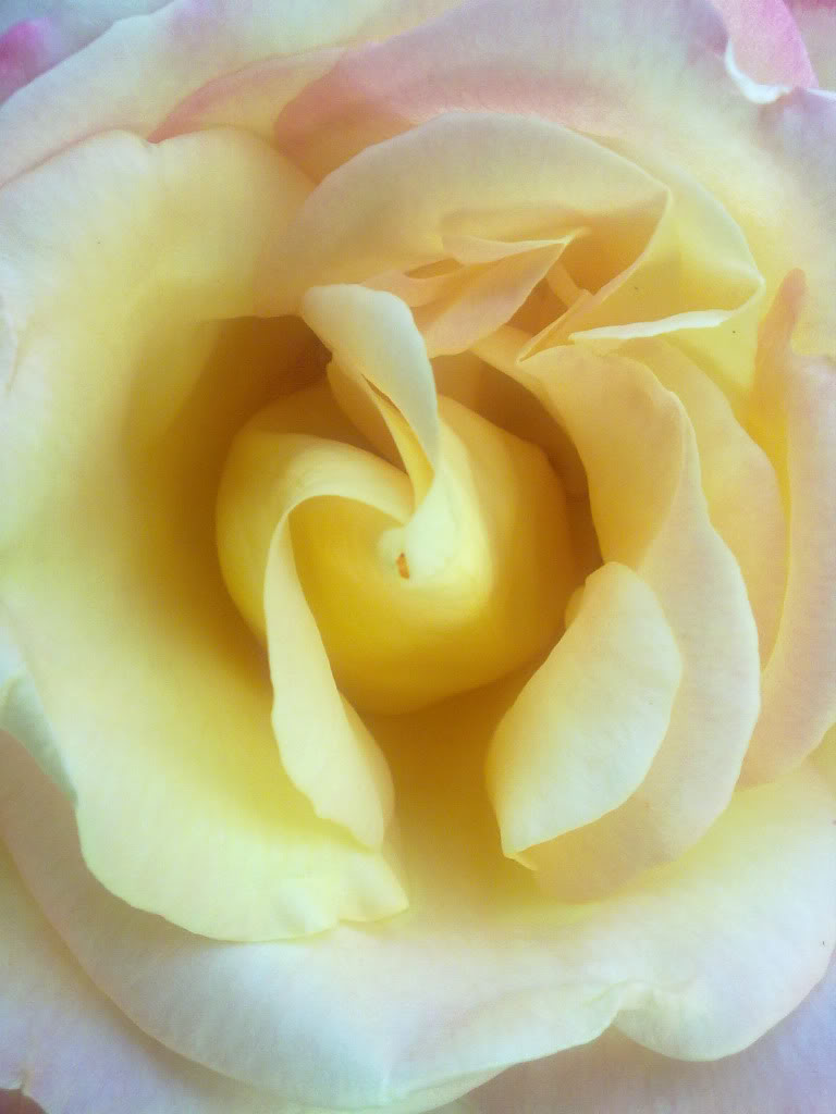 r111.jpg