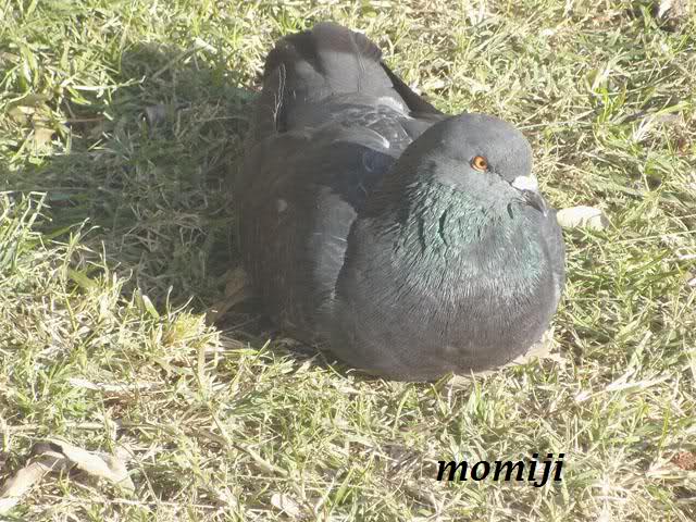 r1wjld.jpg