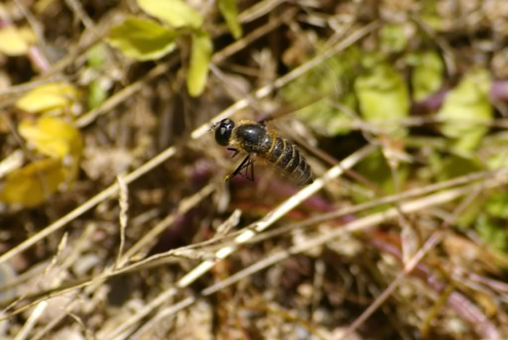r22h55.jpg