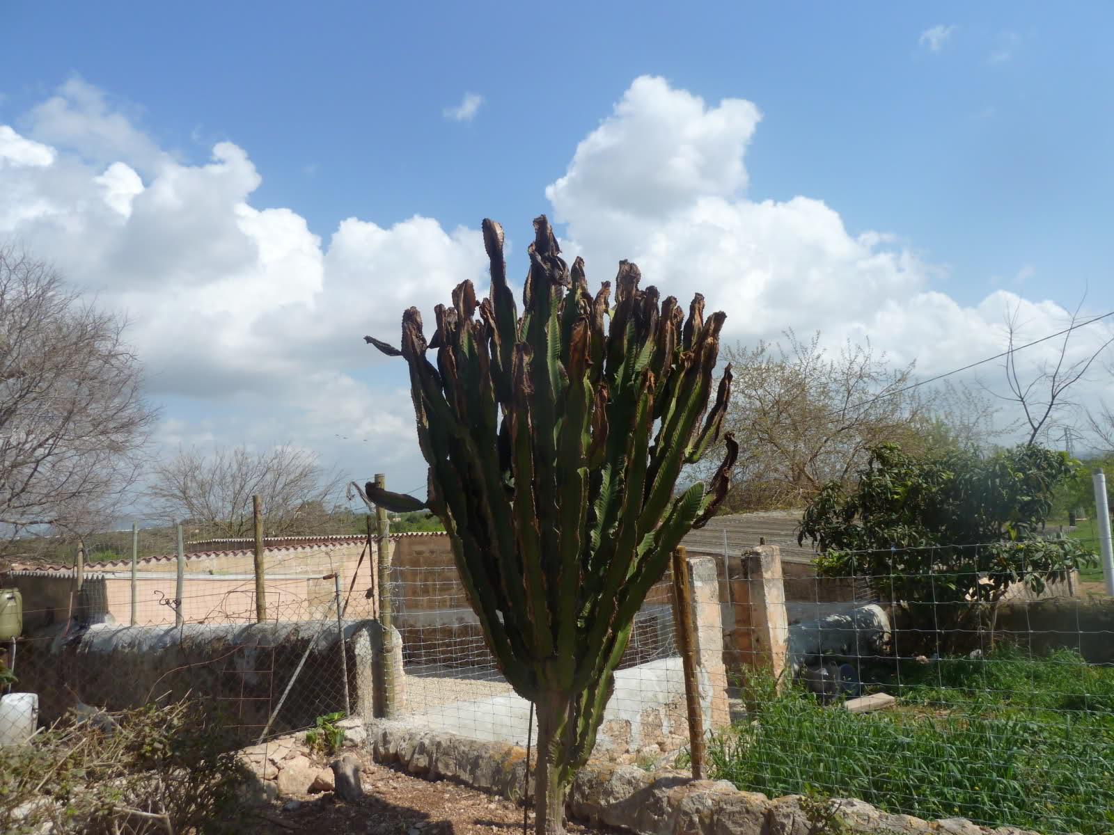 r876s4.jpg