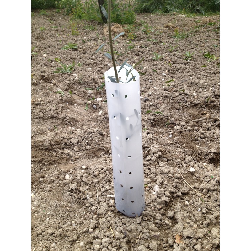 ra-arboles-y-plantones-anti-roedores-tubos-protectores-conejos-arboles-3092309___940126588954235.jpg