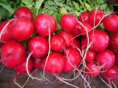 rabanitos.jpg