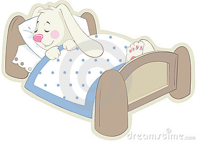 rabbit-in-bed-thumb19097733.jpg