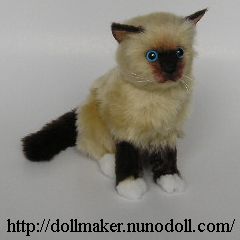 ragdoll1.jpg
