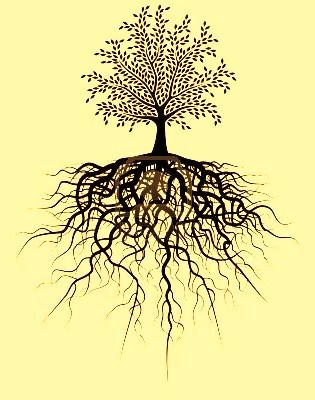 raices.jpg