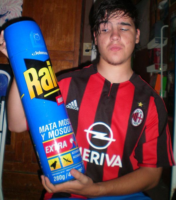 raid-mata-moscas-y-mosquit.jpg