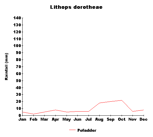rain_dorotheae.gif