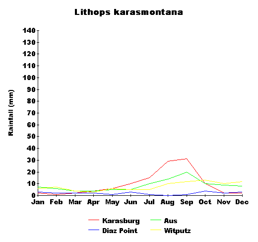 rain_karasmontana.gif