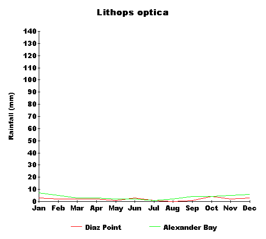 rain_optica.gif